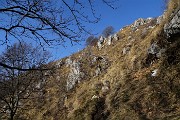 Monte Suchello (1541 m) da Aviatico (1080 m) il 20 febbraio 2019 - FOTOGALLERY